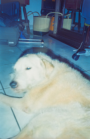 29 Gabriela Retana - Fujifilm 400 por Arca Film Lab (Mayo 2025) - Rollo 1014