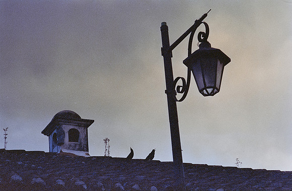 16 Fritz Pinnow - Cinestill 800T por Arca Film Lab (Diciembre 2024) - Rollo 0547