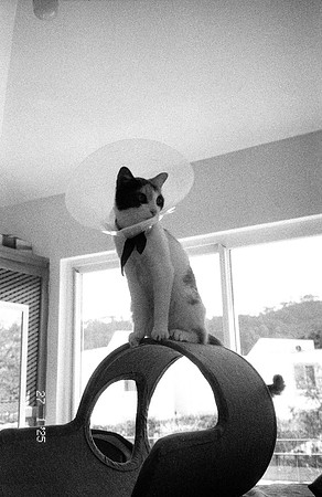 07 María Paula González - Kentmere Pan 400 por Arca Film Lab (Abril 2025) - Rollo 0903