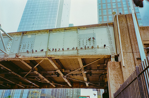 01 Ernesto Ábrego - Kodak Ultramax 400 por Arca Film Lab (Mayo 2025) - Rollo 1081