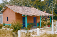10 Alexander Daum - Kodak Ultra 200 por Arca Film Lab (Abril 2025) - Rollo 0901