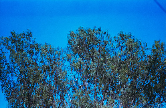 17 Carlos Castro - Kodak 400 Max por Arca Film Lab (Junio 2025) - Rollo 1138