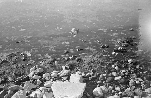 11 Marcelo Domínguez - Ilford HP5+ 400 por Arca Film Lab (Septiembre 2024) - Rollo 0347