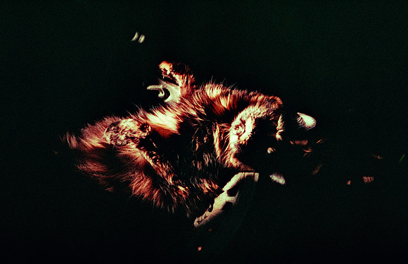 22 Natalia Mendoza - Harman Phoenix 200 por Arca Film Lab (Marzo 2025) - Rollo 0806