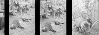 05 Natalia Mendoza - Ilford HP5+ 400 por Arca Film Lab (Mayo 2025) - Rollo 1017