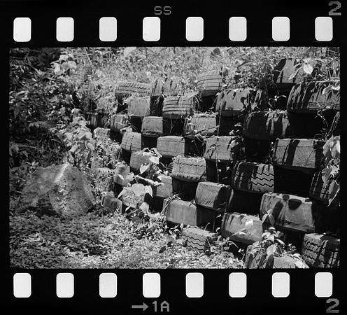 01 Omar Véliz - Neopan SS 100 por Arca Film Lab (Agosto 2024) - Rollo 0301