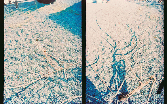 37 Roberto Samayoa - Fujifilm Provia 100F por Arca Film Lab (Mayo 2025) - Rollo 1002