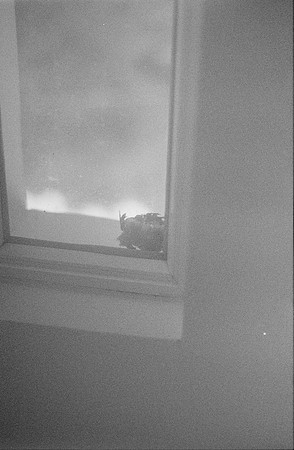05 Steven Bickford -Ilford HP5+ 400 por Arca Film Lab (Marzo 2025) - Rollo 0830