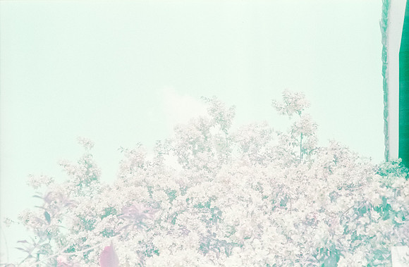11 Natalia Mendoza - Lomography Purple por Arca Film Lab (Mayo 2025) - Rollo 1019