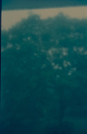25 Carlos Siri - Cinestill 800T por Arca Film Lab (Julio 2024) - Rollo 0187