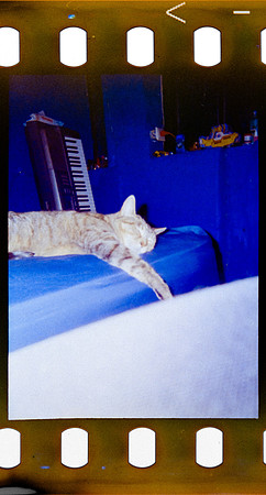 11 Ana Laura Chacón - Amber D400 por Arca Film Lab (Agosto 2024) - Rollo 0247