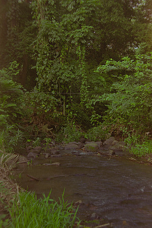 30 Christian Arriola - Kodak Gold 200 por Arca Film Lab (Agosto 2024) - Rollo 0232