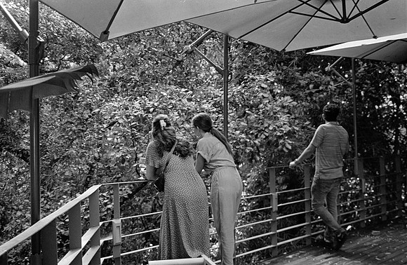 19 José Paulo Pérez - Kodak 400TX por Arca Film Lab (Septiembre 2024) - Rollo 0333