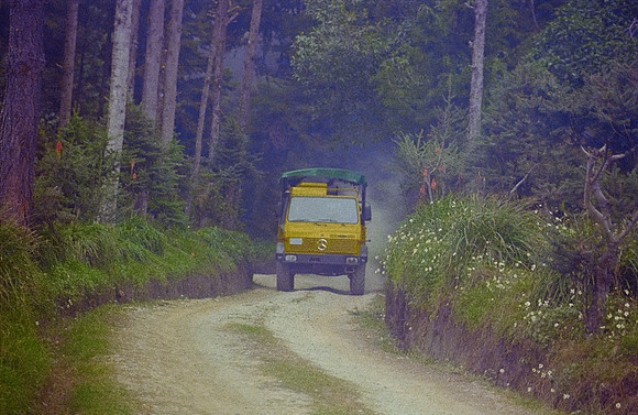 23 Andrés Mazariegos - Kodak Ultramax 400 por Arca Film Lab (Noviembre 2024) - Rollo 0517