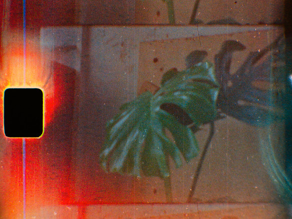 00019 Pablo Godoy - Kodak Vision 3 500T S8 - Arca Film Lab (Junio 2025)