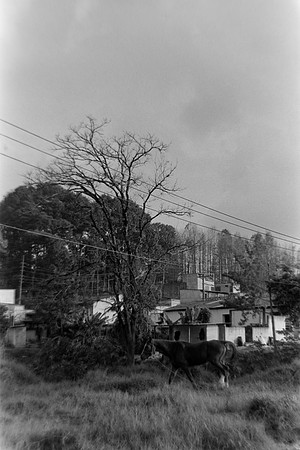 06 Pablo Josué Noack - Ilford HP5 Plus 400 por Arca Film Lab (Mayo 2024) - Rollo 0077