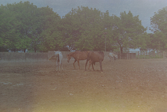 33 Christian Arriola - Kodak Gold 200 por Arca Film Lab (Agosto 2024) - Rollo 0232