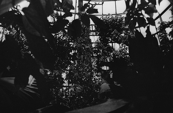 07 Ovald Barrientos - Fomapan 100 por Arca Film Lab (Marzo 2025) - Rollo 0856