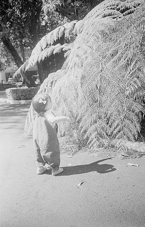 27 Mónica Minondo - Ilford HP5+ 400 por Arca Film Lab (Febrero 2025) - Rollo 0762
