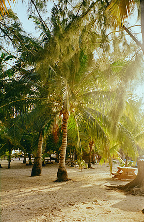 10 Carlota Benet - Kodak Ultamax 400 por Arca Film Lab (Enero 2025) - Rollo 0609