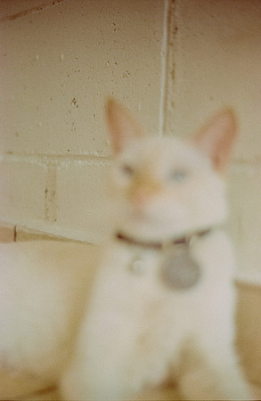 22 Abraham Castillo - Fujifilm 400 por Arca Film Lab (Junio 2025) - Rollo 1118