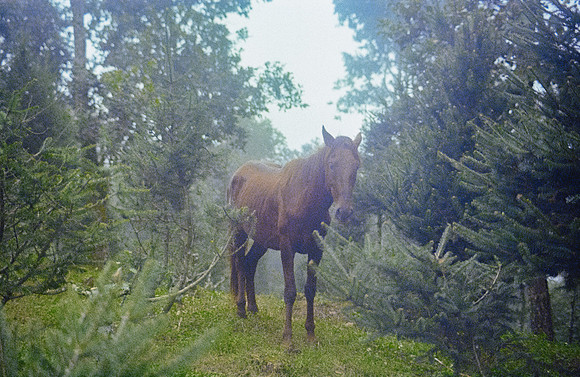 21 Andrés Mazariegos - Kodak Ultramax 400 por Arca Film Lab (Noviembre 2024) - Rollo 0517
