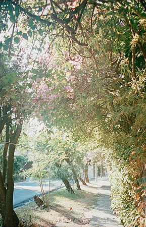 27 Natalia Mendoza - Kodak Aerocolor IV por Arca Film Lab (Abril 2025) - Rollo 0928