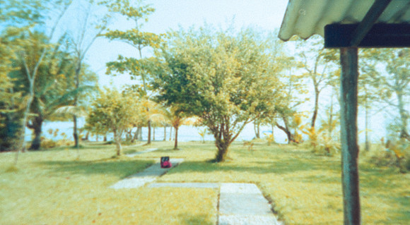 12 Alexander Daum - Kodak Gold 200 por Arca Film Lab (Abril 2025) - Rollo 0899