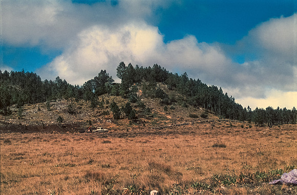 08 Andrés Cux - Fujifilm Provia 100F por Arca Film Lab (Enero 2025) - Rollo 0607