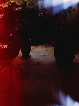 13 Sebastián Barillas - Kodak Ultramax 400 por Arca Film Lab (Febrero 2025) - Rollo 0784