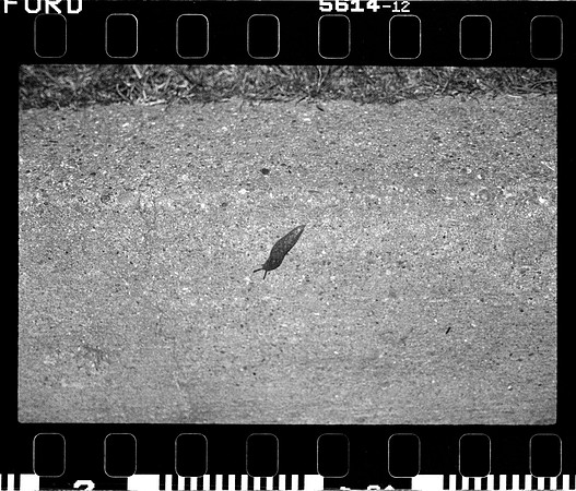 02 Fernanda González - Ilford Delta 3200 Push 12800 - Arca Film Lab (Mayo 2024) - Rollo 0050