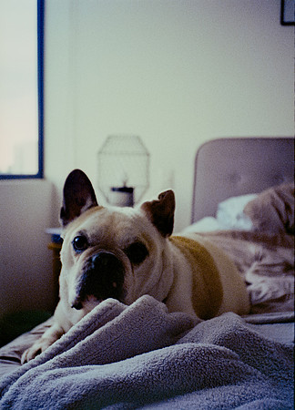 52 Steve Palma - Fujifilm 400 por Arca Film Lab (Enero 2025) - Rollo 0628