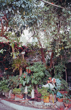 13 Kristel Calderón - Lomography 400 por Arca Film Lab (Agosto 2024) - Rollo 0290