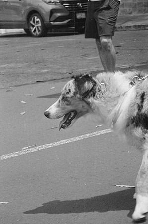 10 Carmen Tórres - Ilford HP5+ 400 por Arca Film Lab (Septiembre 2024) - Rollo 0334