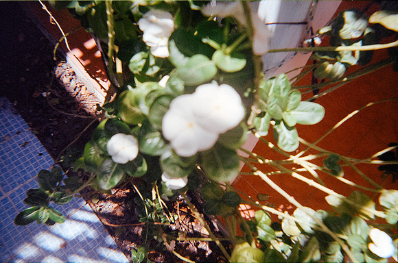 10 Martín Reyes - Kodak Gold 200 por Arca Film Lab (Juio 2024) - Rollo 0110
