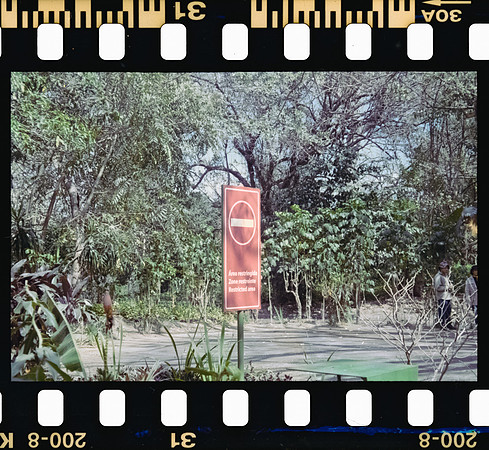 28 Rodrigo Gonzalez - Kodacolor 200 por Arca Film Lab (Junio 2025) - Rollo 1117