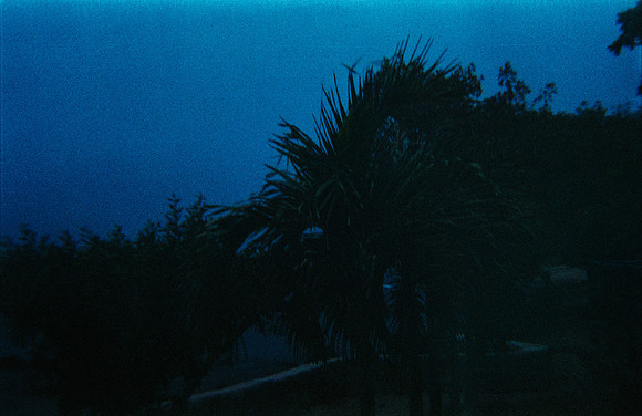 16 Mónica Díaz - Fujifilm 200 por Arca Film Lab (Abril 2025) - Rollo 0925