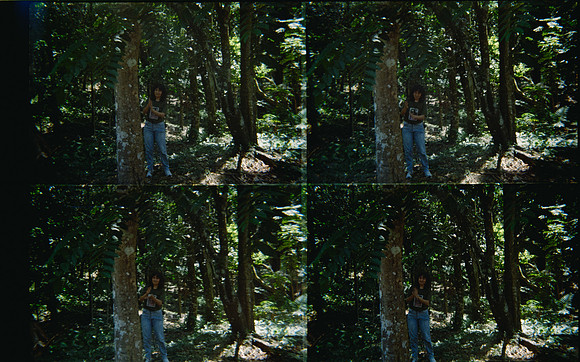 28 Natalia Mendoza - Kodak Gold 200 por Arca Film Lab (Mayo 2025) - Rollo 1018