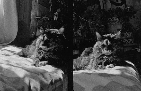 11 Natalia Mendoza - Kentmere Pan 400 por Arca Film Lab (Enero 2025) - Rollo 0696