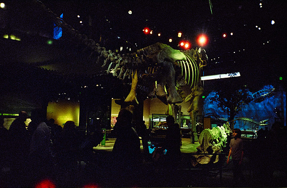 14 Paulo Contreras - Cinestill 800T - Arca Film Lab - Rollo 0613