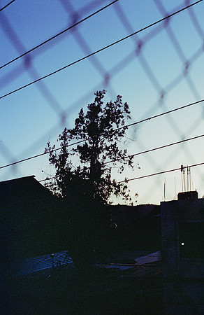 33 Milton Recinos - Kodak Portra 400 por Arca Film Lab (Junio 2025) - Rollo 1105