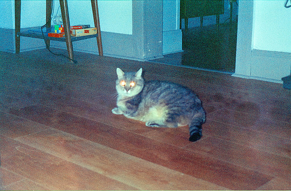 18 Elida Arreaga - Kodak MAX 400 (Expirado) por Arca Film Lab (Juio 2024) - Rollo 0113