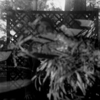 04 Krista Ramirez - Iford HP5+ 400 por Arca Film Lab (Mayo 2025) - Rollo 0970