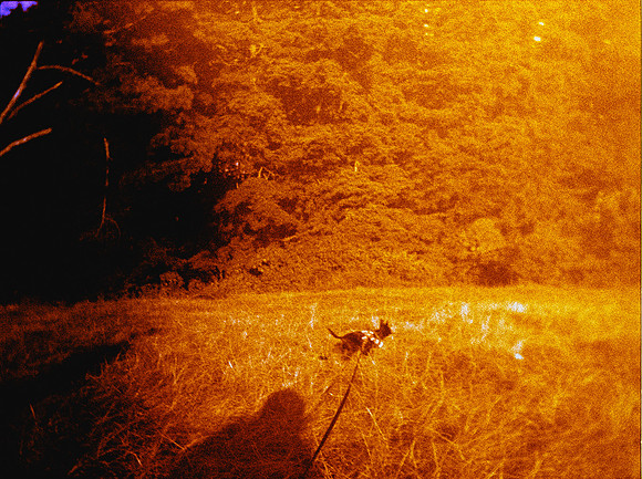06 Rodrigo Flores - Kodak Gold 200 Half Frame por Arca Film Lab (Junio 2024) - Rollo 0116