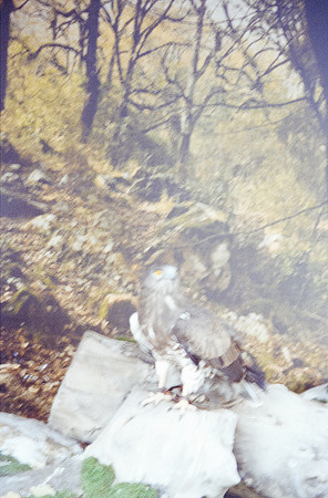 10 Natalia Mendoza - Kodak Ultramax 400 por Arca Film Lab (Noviembre 2024) - Rollo 0490
