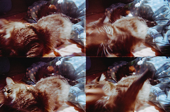 08 Natalia Mendoza - Kodak Gold 200 por Arca Film Lab (Marzo 2025) - Rollo 0807