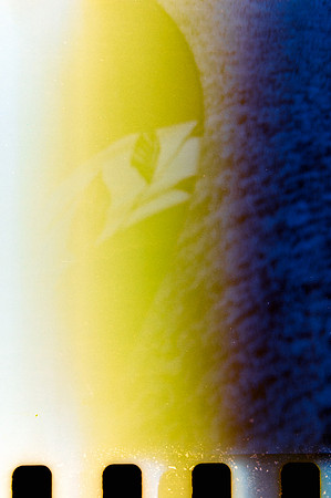 39 Yuliana Palomo - Fujifilm 200 por Arca Film Lab (Mayo 2024) - Rollo 0064