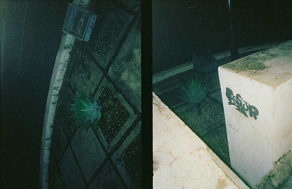 06 Edwin Chang - Cinestill 800T por Arca Film Lab (Diciembre 2024) - Rollo 0516