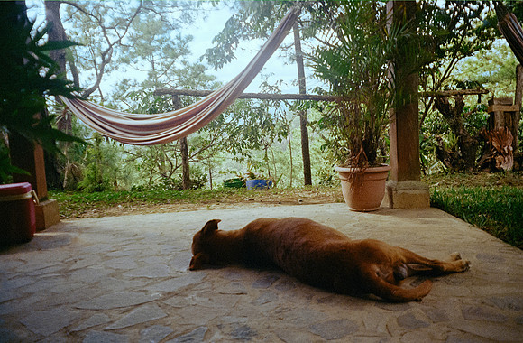22 Javier Díaz - Kodak Gold 200 por Arca Film Lab (Febrero 2025) - Rollo 0721