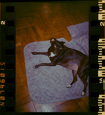01 Shirley Brakiti - Kodak Gold 200 por Arca Film Lab (Julio 2024) - Rollo 0186